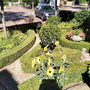 Appartement Casa Super, Zandvoort
